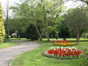 Stephenson Way Cemetery 