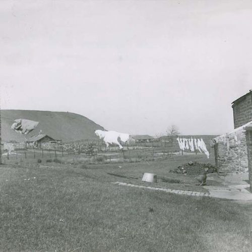 Introduction image for Great Aycliffe Town Council