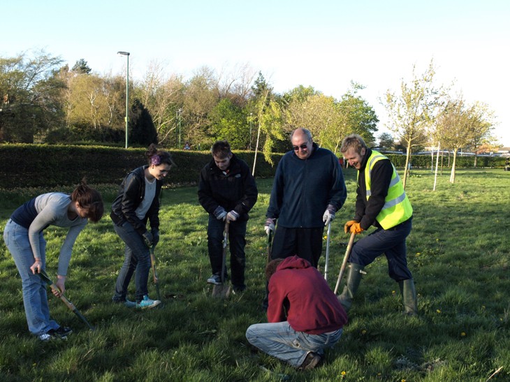 Bulb Planting in the Town Park