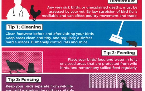 Read more about Avian Flu Update
