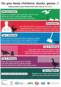 Poster advising precautions due to Avian Flu.