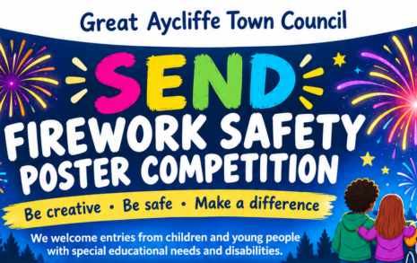 Read more about SEND Firework Safety Poster Competition